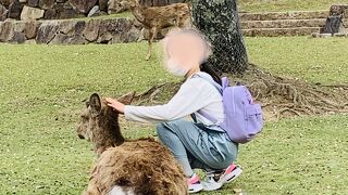 桜 と シカ そして　若草山