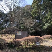 小山のように盛り上がっている塚