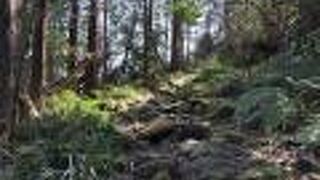 箱根旧街道が再現、整備されている