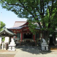 静かな神社全景