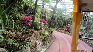 パイナップルについて学べる施設