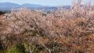 展望台が有る休憩所です。