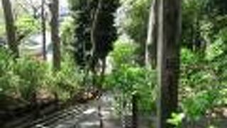 坂というよりは実際は階段です。木々で癒やされました。