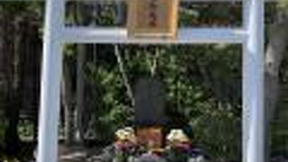 ここも初めてだなあ。