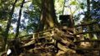 殿塚よりは大きい