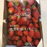 苺をお安く