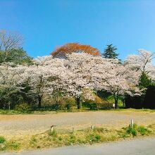公園の駐車場からの眺めです