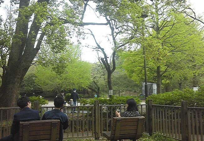 戸山公園 交通公園 クチコミ アクセス 営業時間 大久保 新大久保 フォートラベル