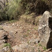 箱根権現への分岐にある坂