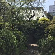 緑豊かな寺