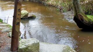 常堅寺の裏側にあります