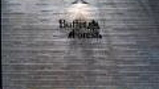 女性のお客様が多くご来店