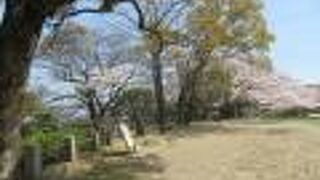 徳島駅の北側にあります