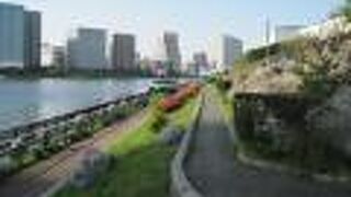 都会のオアシスです