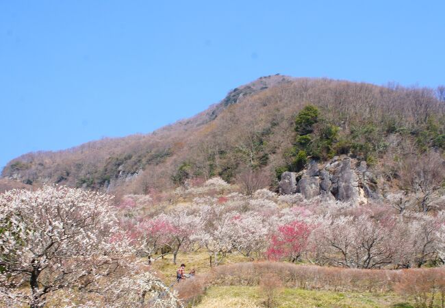 湯河原温泉のおすすめ観光スポット クチコミ人気ランキングtop フォートラベル 神奈川県
