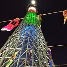 こいのぼりとスカイツリー