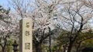 京都随一の桜の名所