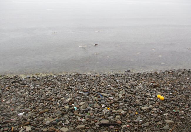 青海川海水浴場