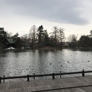 旭川を代表する公園