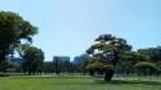 日差しを浴びながらゆっくりと過ごす