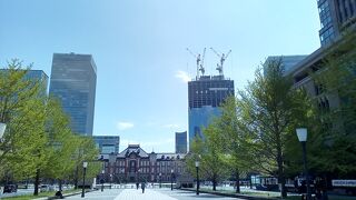 威厳のある威風堂々とした佇まい