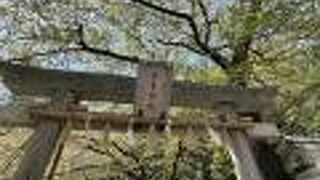 安産、子育ての神様