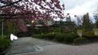 後楽園駅直結の都会的な公園