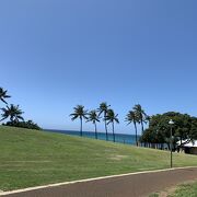 ピクニックに最適な海辺の公園