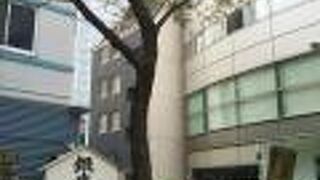 銀座に何箇所か柳の二世が