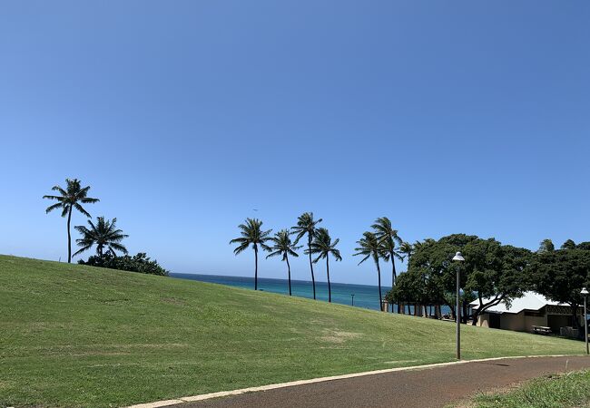 ピクニックに最適な海辺の公園