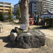 木の下に大きな石