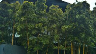 好きな美術館のランキングに