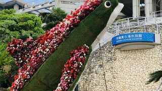 沖縄美ら海水族館