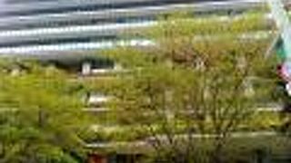 新緑の季節へと