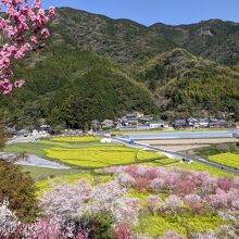 西川花公園