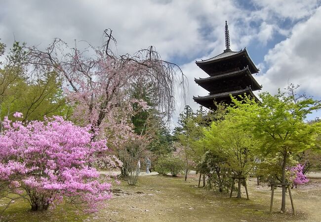 仁和寺 五重塔 クチコミ アクセス 営業時間 嵐山 嵯峨野 太秦 桂 フォートラベル 仁和寺 五重塔 クチコミ アクセス 営業時間 嵐山 嵯峨野 太秦 桂 フォートラベル