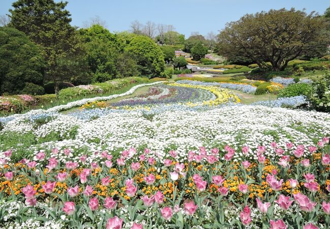 能古島 クチコミ アクセス 営業時間 博多 フォートラベル