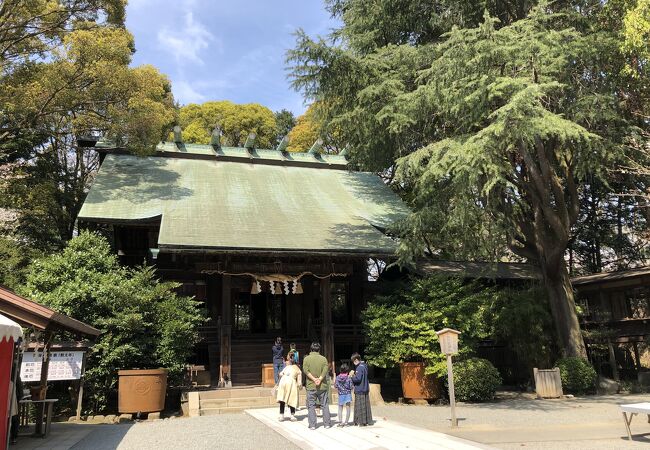 報徳二宮神社 小田原市 クチコミ アクセス 営業時間 小田原 フォートラベル 報徳二宮神社 小田原市 クチコミ アクセス 営業時間 小田原 フォートラベル