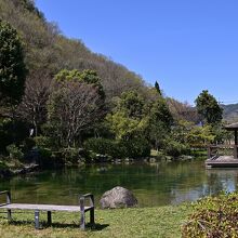 園内には大きな池が