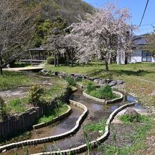 園内にはホタルがすみそうな水辺も