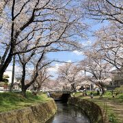 川岸に座って眺められる