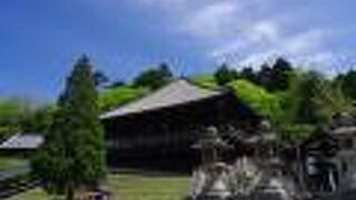 眺望よし、大仏殿から近いのでぜひ登りたい