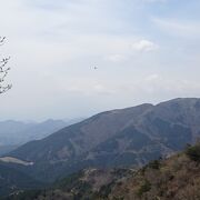 大山は新宿からだとバスとケーブルと、山頂までの徒歩で3時間ちょっとで往復できます。