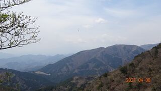 大山は新宿からだとバスとケーブルと、山頂までの徒歩で3時間ちょっとで往復できます。