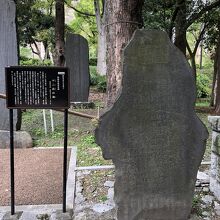 昔は景勝地だった