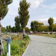 シンボルプロムナード公園