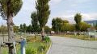 綺麗な花のある風景