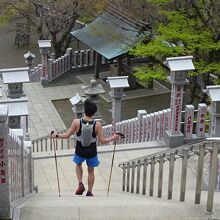 この石段の左下です