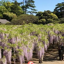 小高い位置から見下ろします