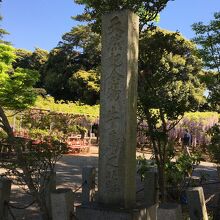 国の特別天然記念物